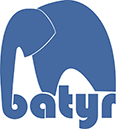 Batyr Logo