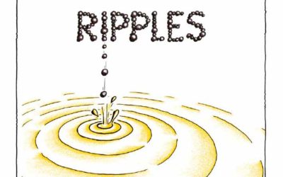 Gannets Book The Growth Project